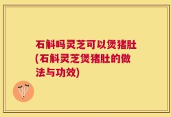 石斛吗灵芝可以煲猪肚(石斛灵芝煲猪肚的做法与功效)