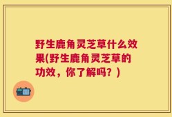 野生鹿角灵芝草什么效果(野生鹿角灵芝草的功效，你了解吗？)