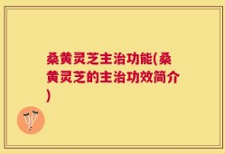 桑黄灵芝主治功能(桑黄灵芝的主治功效简介)