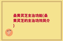 桑黄灵芝主治功能(桑黄灵芝的主治功效简介)