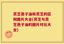灵芝孢子油和灵芝的区别图片大全(灵芝与灵芝孢子油的图片对比大全)