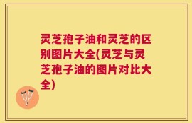 灵芝孢子油和灵芝的区别图片大全(灵芝与灵芝孢子油的图片对比大全)