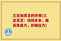 三豆加灵芝的作用(三豆灵芝：功效多多，提高免疫力，舒缓压力)