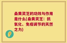 桑黄灵芝的功效与作用是什么(桑黄灵芝：抗氧化、免疫调节的天然之力)