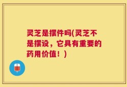 灵芝是摆件吗(灵芝不是摆设，它具有重要的药用价值！)