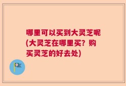 哪里可以买到大灵芝呢(大灵芝在哪里买？购买灵芝的好去处)