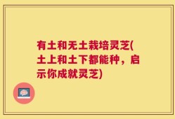 有土和无土栽培灵芝(土上和土下都能种，启示你成就灵芝)