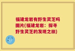 福建龙岩有野生灵芝吗图片(福建龙岩：探寻野生灵芝的发现之旅)
