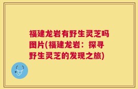 福建龙岩有野生灵芝吗图片(福建龙岩：探寻野生灵芝的发现之旅)