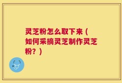 灵芝粉怎么取下来 (如何采摘灵芝制作灵芝粉？)