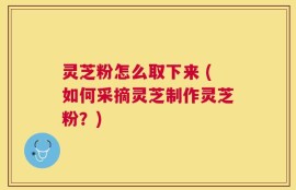 灵芝粉怎么取下来 (如何采摘灵芝制作灵芝粉？)