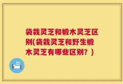 袋栽灵芝和椴木灵芝区别(袋栽灵芝和野生椴木灵芝有哪些区别？)