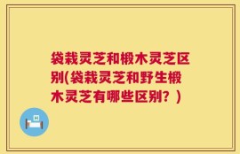 袋栽灵芝和椴木灵芝区别(袋栽灵芝和野生椴木灵芝有哪些区别？)