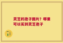 灵芝的孢子图片？哪里可以买到灵芝孢子