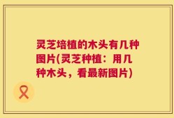灵芝培植的木头有几种图片(灵芝种植：用几种木头，看最新图片)