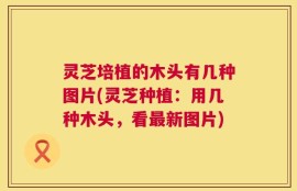 灵芝培植的木头有几种图片(灵芝种植：用几种木头，看最新图片)