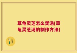 草龟灵芝怎么煲汤(草龟灵芝汤的制作方法)