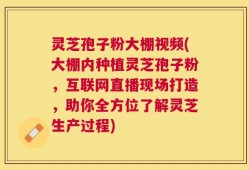 灵芝孢子粉大棚视频(大棚内种植灵芝孢子粉，互联网直播现场打造，助你全方位了解灵芝生产过程)