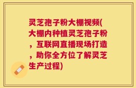 灵芝孢子粉大棚视频(大棚内种植灵芝孢子粉，互联网直播现场打造，助你全方位了解灵芝生产过程)