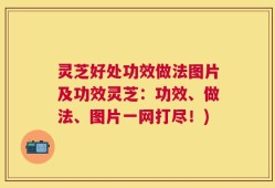 灵芝好处功效做法图片及功效灵芝：功效、做法、图片一网打尽！)