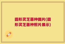 圆形灵芝菌种图片(圆形灵芝菌种照片展示)