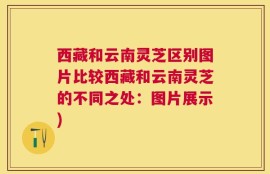 西藏和云南灵芝区别图片比较西藏和云南灵芝的不同之处：图片展示)