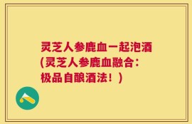灵芝人参鹿血一起泡酒(灵芝人参鹿血融合：极品自酿酒法！)