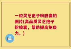 一粒灵芝孢子粉胶囊的图片(高品质灵芝孢子粉胶囊，帮助提高免疫力。)