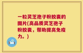 一粒灵芝孢子粉胶囊的图片(高品质灵芝孢子粉胶囊，帮助提高免疫力。)