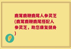 鹿茸鹿鞭鹿尾人参灵芝(鹿茸鹿鞭鹿尾搭配人参灵芝，助您康复健身)