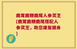 鹿茸鹿鞭鹿尾人参灵芝(鹿茸鹿鞭鹿尾搭配人参灵芝，助您康复健身)