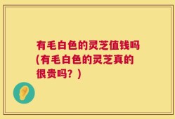 有毛白色的灵芝值钱吗(有毛白色的灵芝真的很贵吗？)