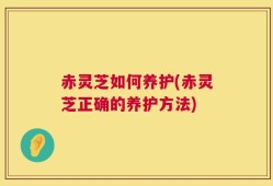 赤灵芝如何养护(赤灵芝正确的养护方法)