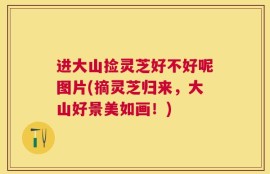 进大山捡灵芝好不好呢图片(摘灵芝归来，大山好景美如画！)