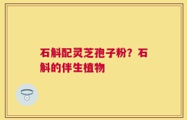 石斛配灵芝孢子粉？石斛的伴生植物