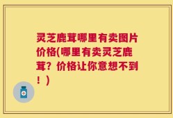 灵芝鹿茸哪里有卖图片价格(哪里有卖灵芝鹿茸？价格让你意想不到！)