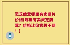 灵芝鹿茸哪里有卖图片价格(哪里有卖灵芝鹿茸？价格让你意想不到！)