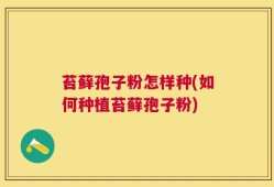 苔藓孢子粉怎样种(如何种植苔藓孢子粉)