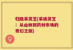 归隐采灵芝(采摘灵芝：从山林到药材市场的奇幻之旅)