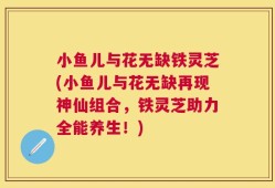 小鱼儿与花无缺铁灵芝(小鱼儿与花无缺再现神仙组合，铁灵芝助力全能养生！)