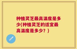 种植灵芝最高温度是多少(种植灵芝的适宜最高温度是多少？)