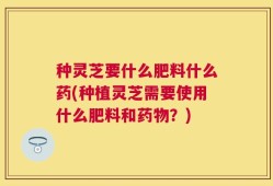 种灵芝要什么肥料什么药(种植灵芝需要使用什么肥料和药物？)