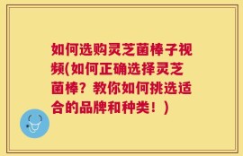 如何选购灵芝菌棒子视频(如何正确选择灵芝菌棒？教你如何挑选适合的品牌和种类！)