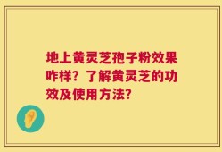 地上黄灵芝孢子粉效果咋样？了解黄灵芝的功效及使用方法？