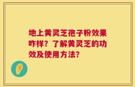 地上黄灵芝孢子粉效果咋样？了解黄灵芝的功效及使用方法？