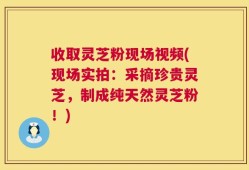 收取灵芝粉现场视频(现场实拍：采摘珍贵灵芝，制成纯天然灵芝粉！)