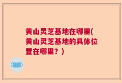 黄山灵芝基地在哪里(黄山灵芝基地的具体位置在哪里？)