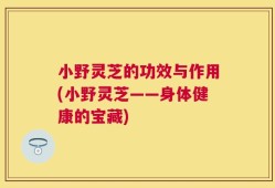 小野灵芝的功效与作用(小野灵芝——身体健康的宝藏)