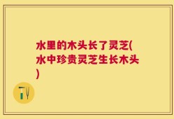 水里的木头长了灵芝(水中珍贵灵芝生长木头)