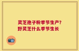 灵芝孢子粉季节生产？野灵芝什么季节生长